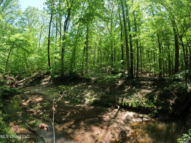 $1,036,750 | 409 Cr Rienzi Ms 38865, Rienzi, MS 38865