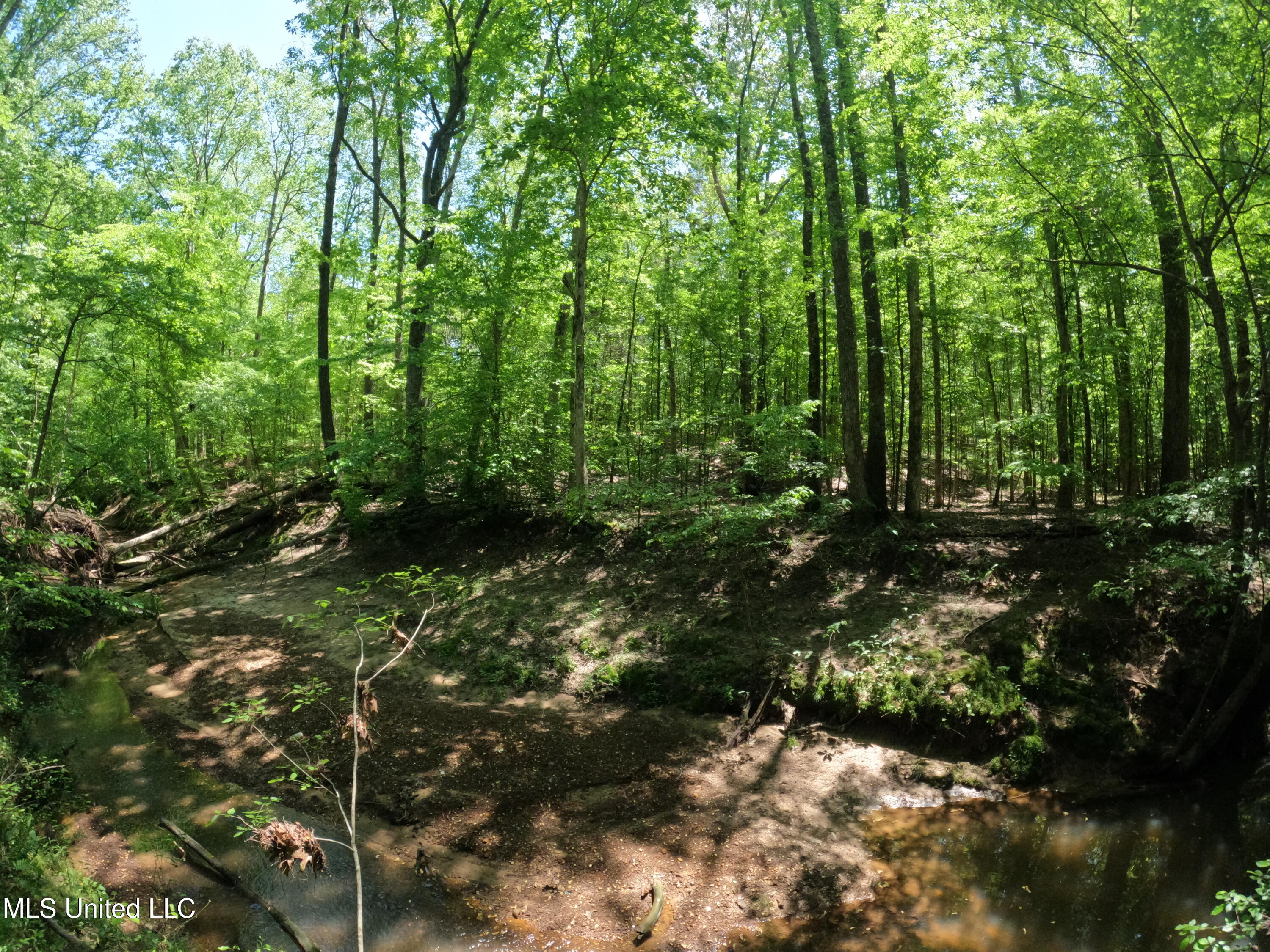 409 Cr Rienzi Ms 38865 Rienzi, MS 38865 - Photo 39 of 43 GOPR0192