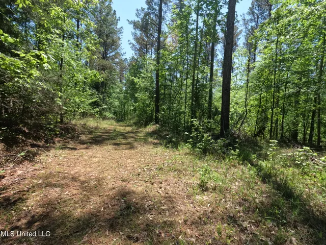 $1,036,750 | 409 Cr Rienzi Ms 38865, Rienzi, MS 38865