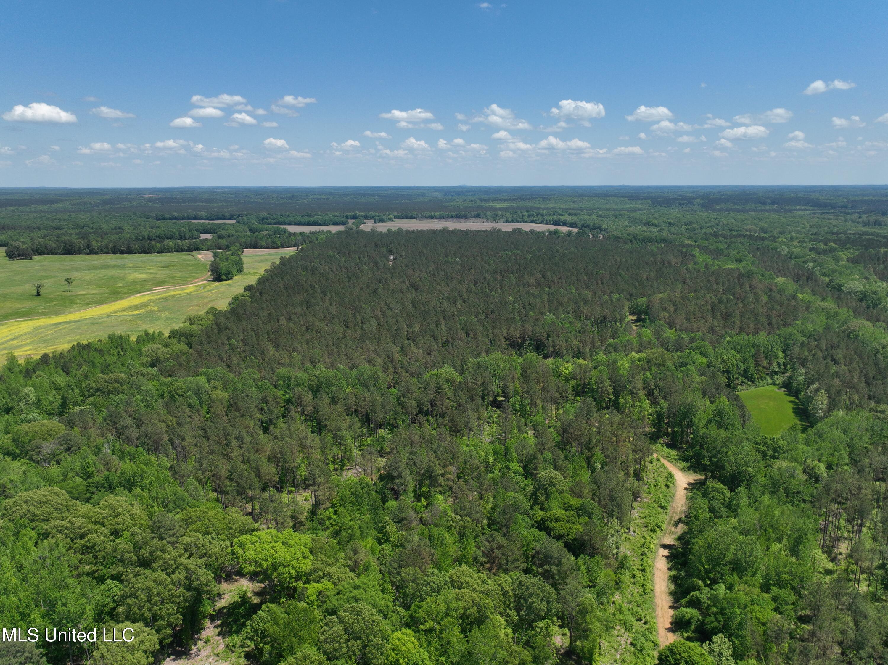 409 Cr Rienzi Ms 38865 Rienzi, MS 38865 - Photo 41 of 43 DJI_20250428131132_0007_V