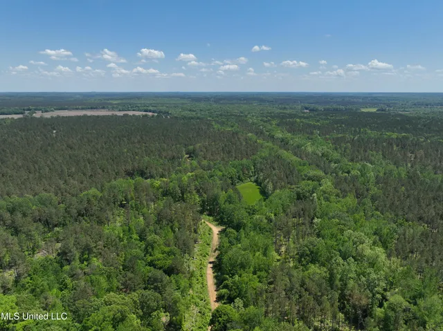 $1,036,750 | 409 Cr Rienzi Ms 38865, Rienzi, MS 38865