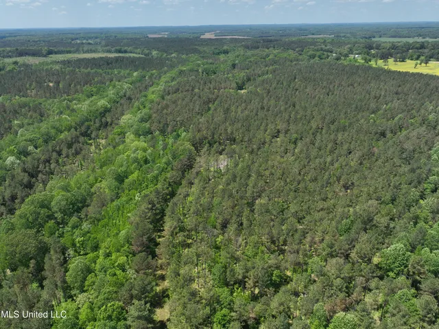 $1,036,750 | 409 Cr Rienzi Ms 38865, Rienzi, MS 38865