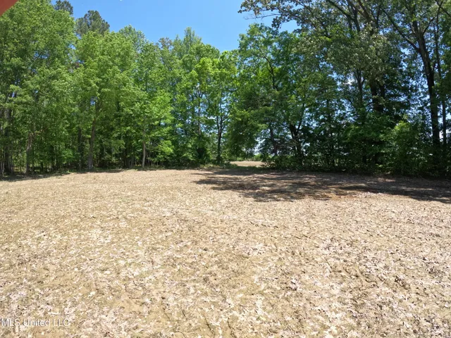 $1,036,750 | 409 Cr Rienzi Ms 38865, Rienzi, MS 38865