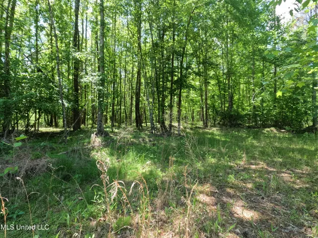 $1,036,750 | 409 Cr Rienzi Ms 38865, Rienzi, MS 38865