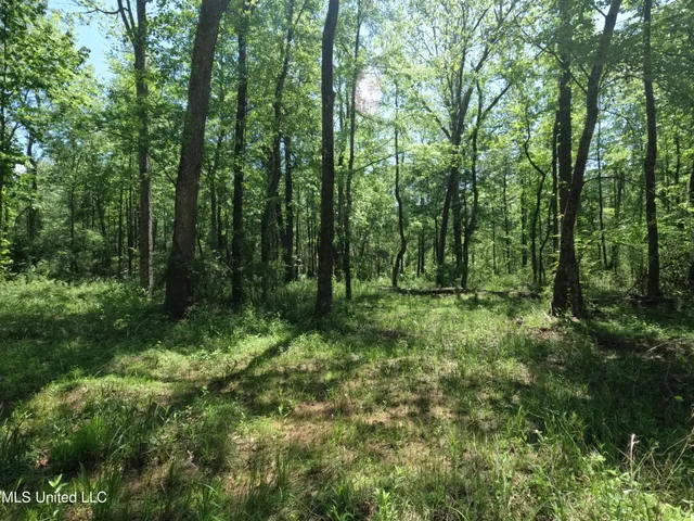 $1,036,750 | 409 Cr Rienzi Ms 38865, Rienzi, MS 38865