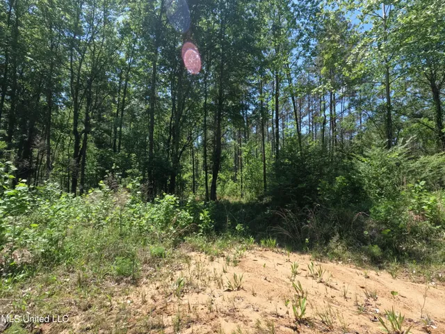 $1,036,750 | 409 Cr Rienzi Ms 38865, Rienzi, MS 38865