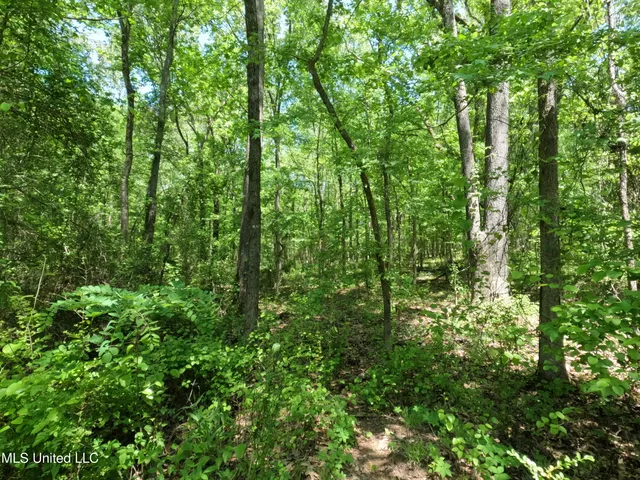 $1,036,750 | 409 Cr Rienzi Ms 38865, Rienzi, MS 38865