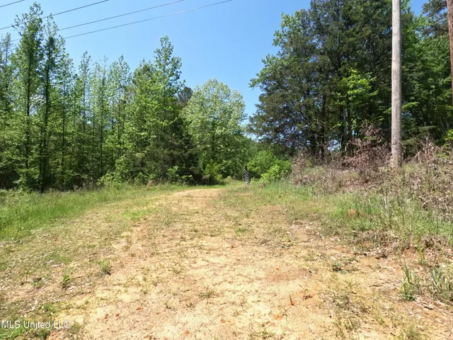 $1,036,750 | 409 Cr Rienzi Ms 38865, Rienzi, MS 38865