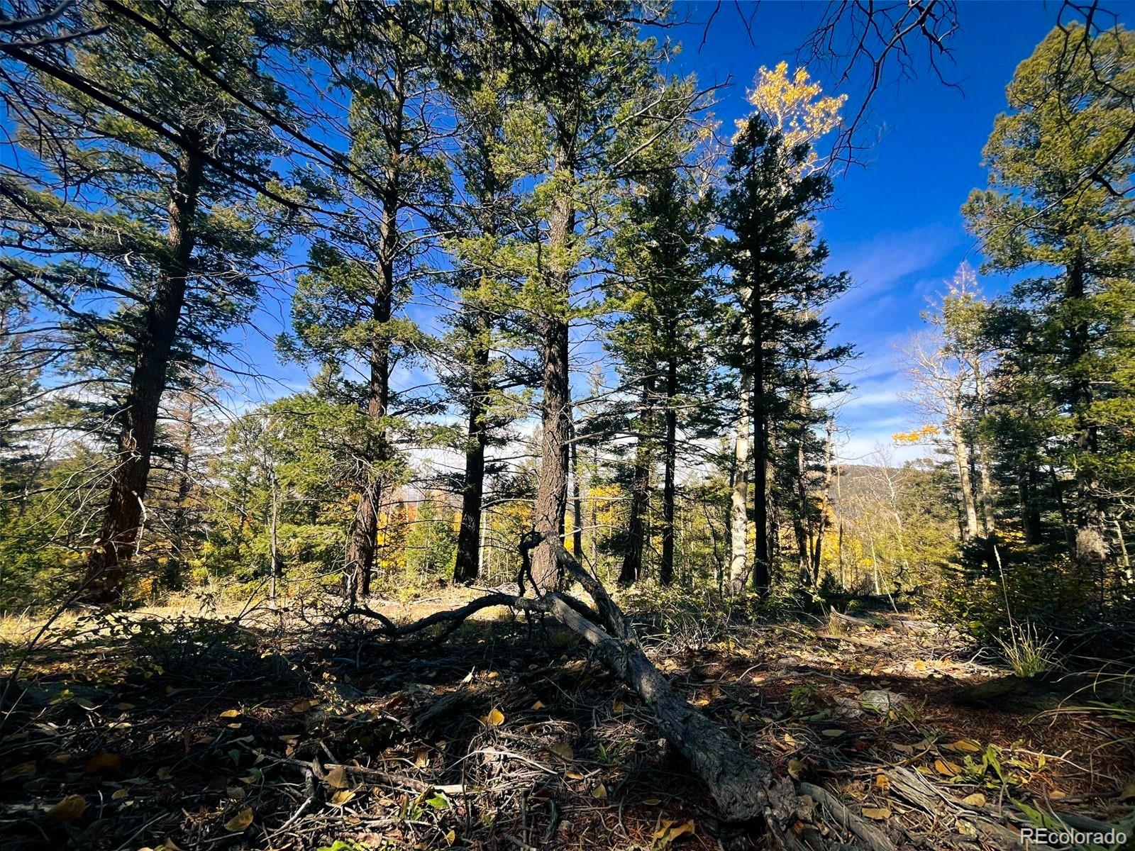 Lot 6187 Starkbeather Road San Luis, CO 81152 - Photo 11 of 18 a view of a yard