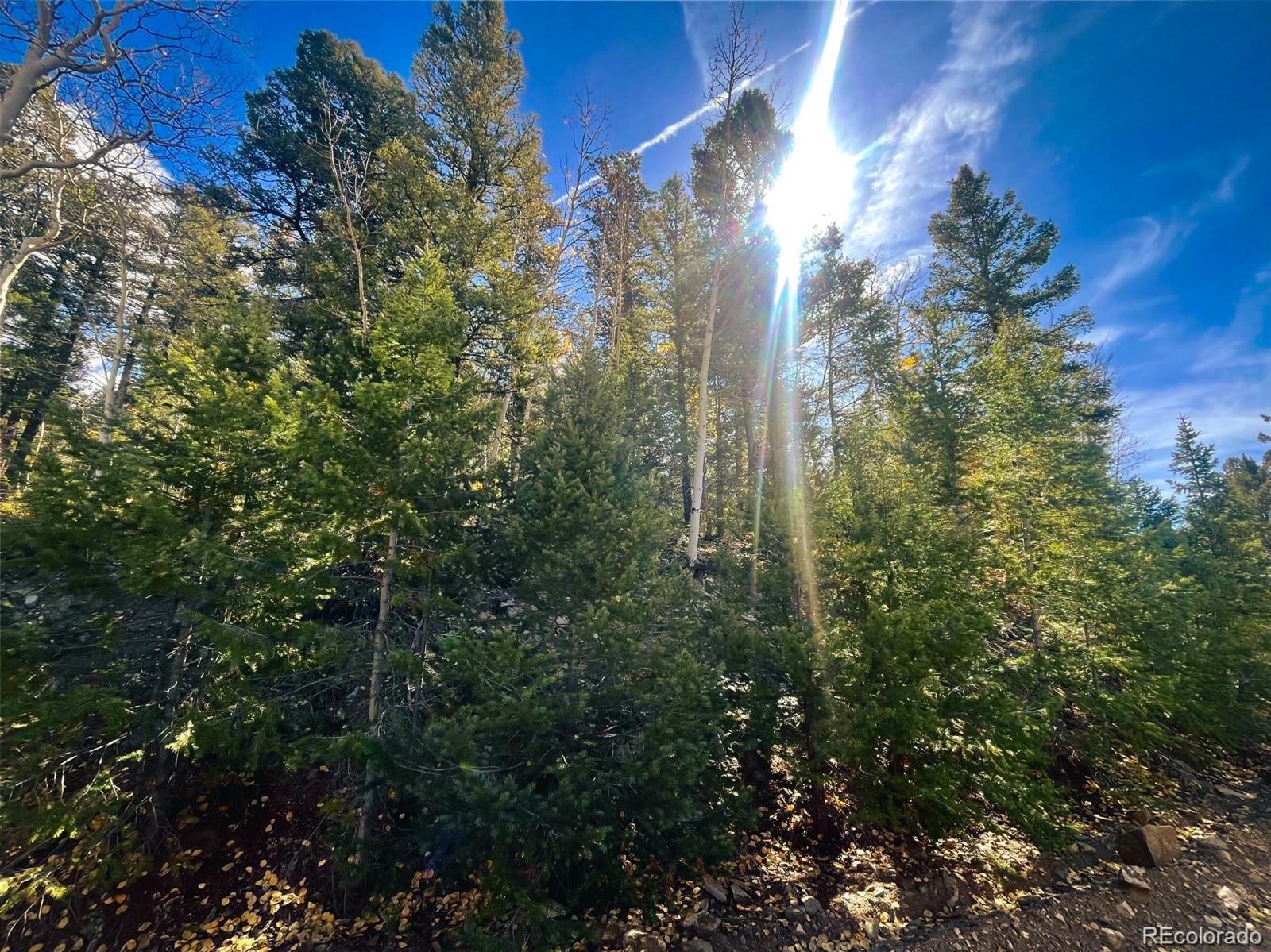 Lot 6187 Starkbeather Road San Luis, CO 81152 - Photo 12 of 18 a view of a city with flower plants and large trees