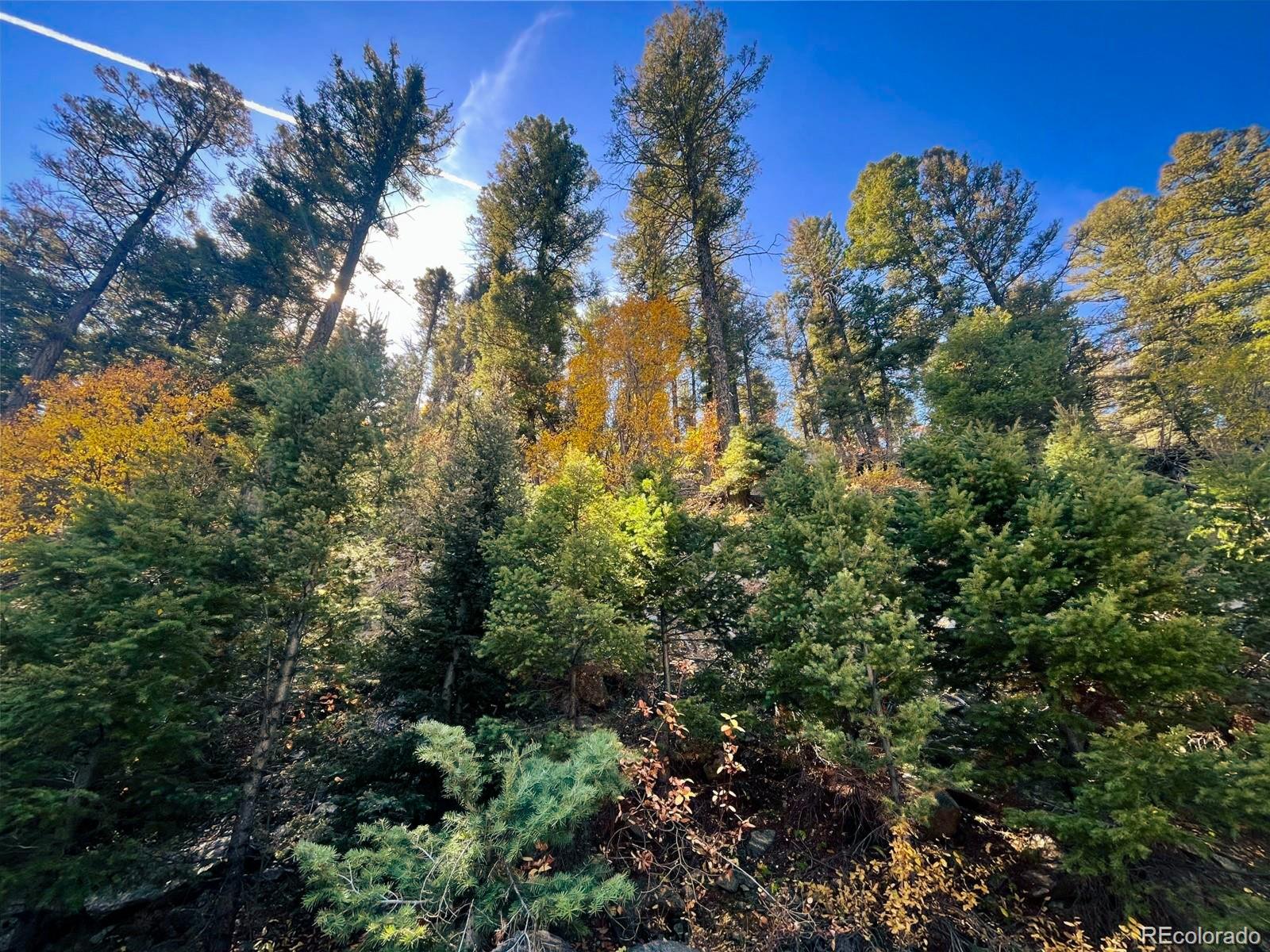 Lot 6187 Starkbeather Road San Luis, CO 81152 - Photo 14 of 18 a view of a tree in a yard