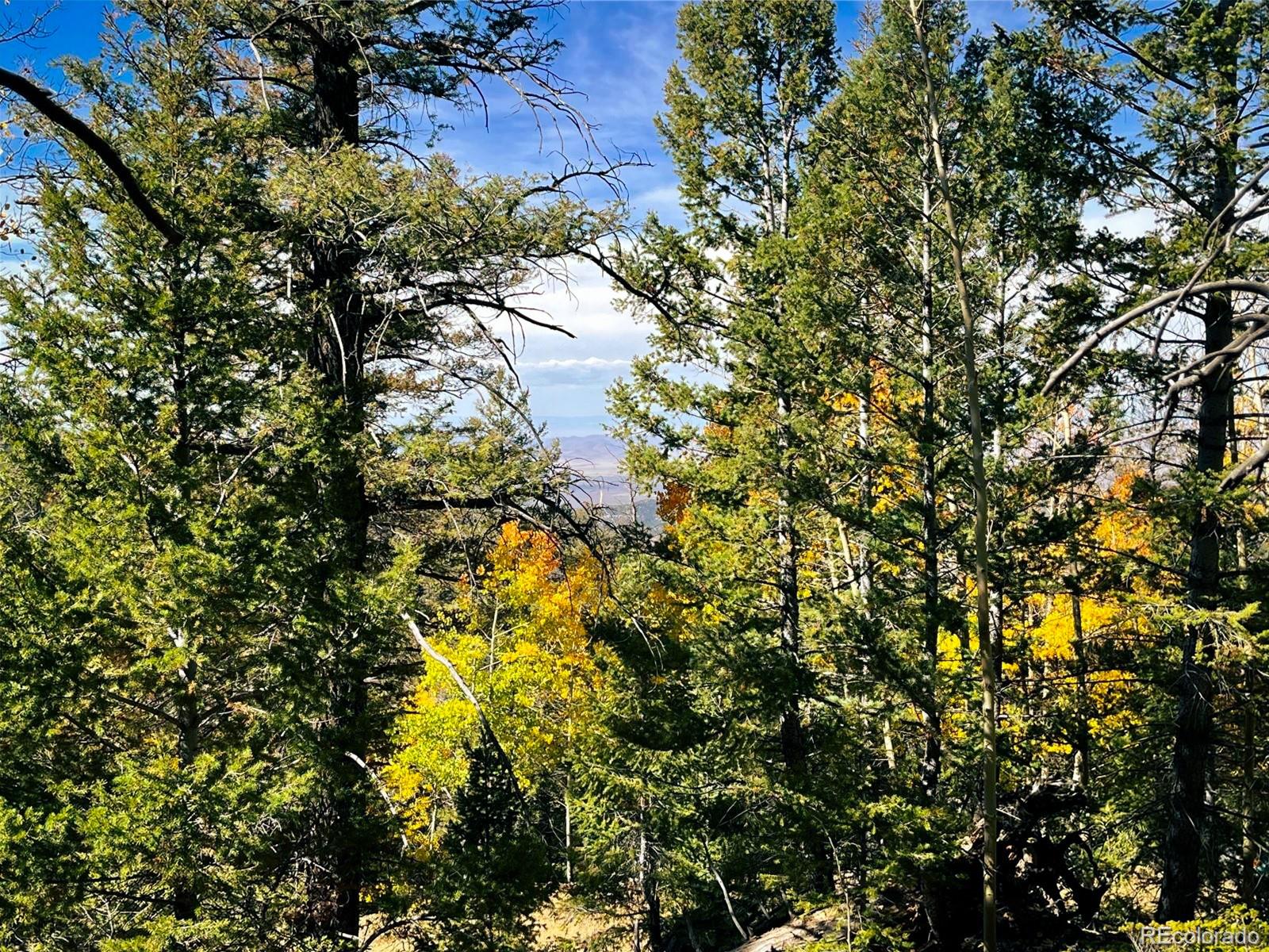 Lot 6187 Starkbeather Road San Luis, CO 81152 - Photo 3 of 18 a view of a tree in a yard