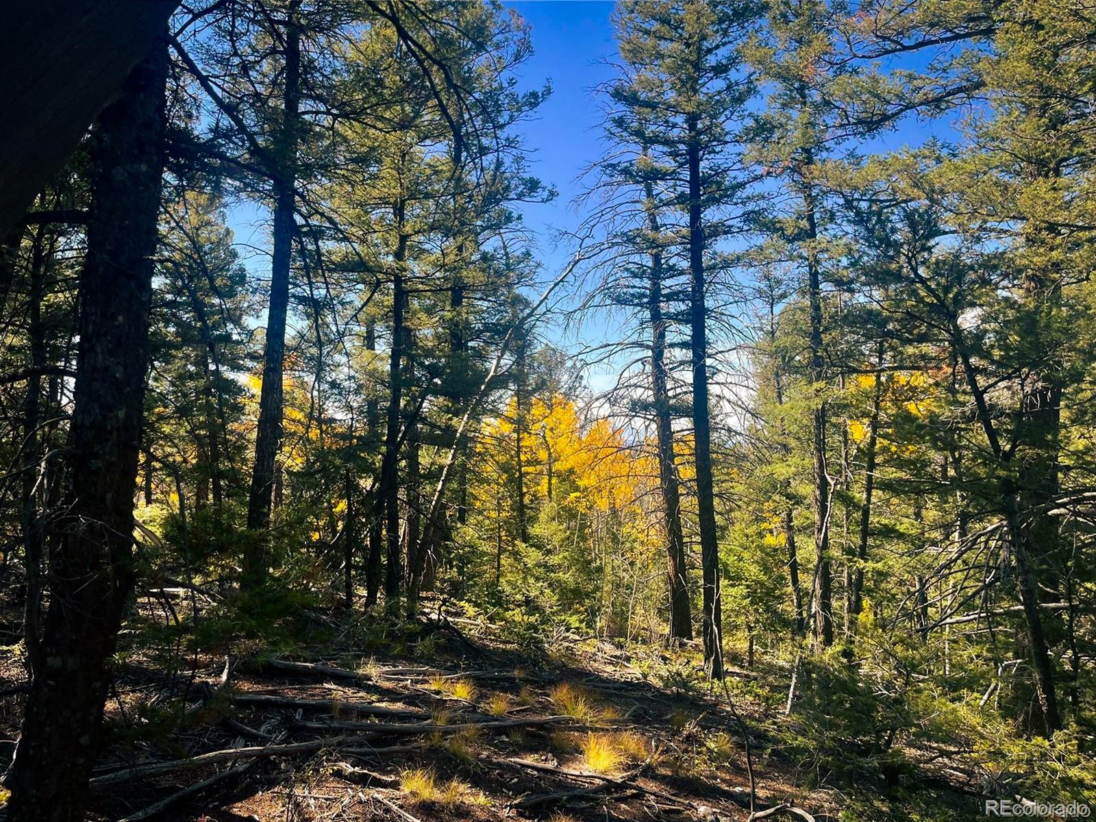 Lot 6187 Starkbeather Road San Luis, CO 81152 - Photo 7 of 18