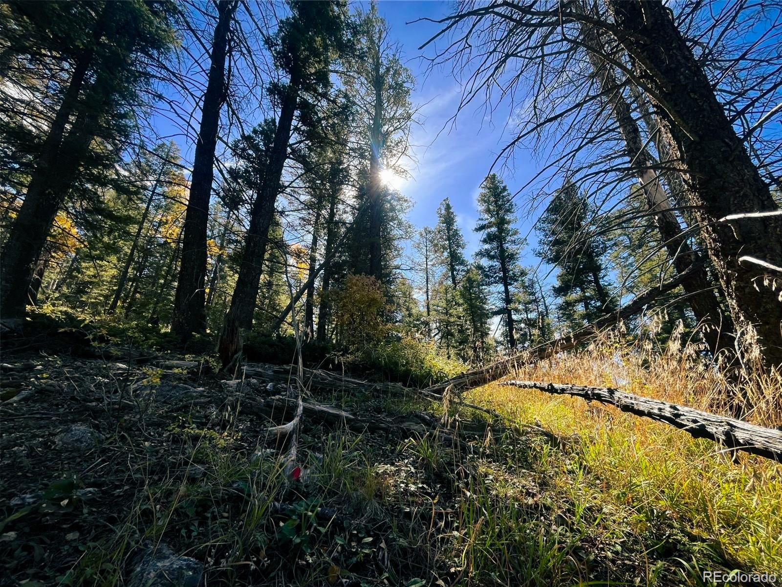 Lot 6187 Starkbeather Road San Luis, CO 81152 - Photo 9 of 18 a view of yard from a corridor