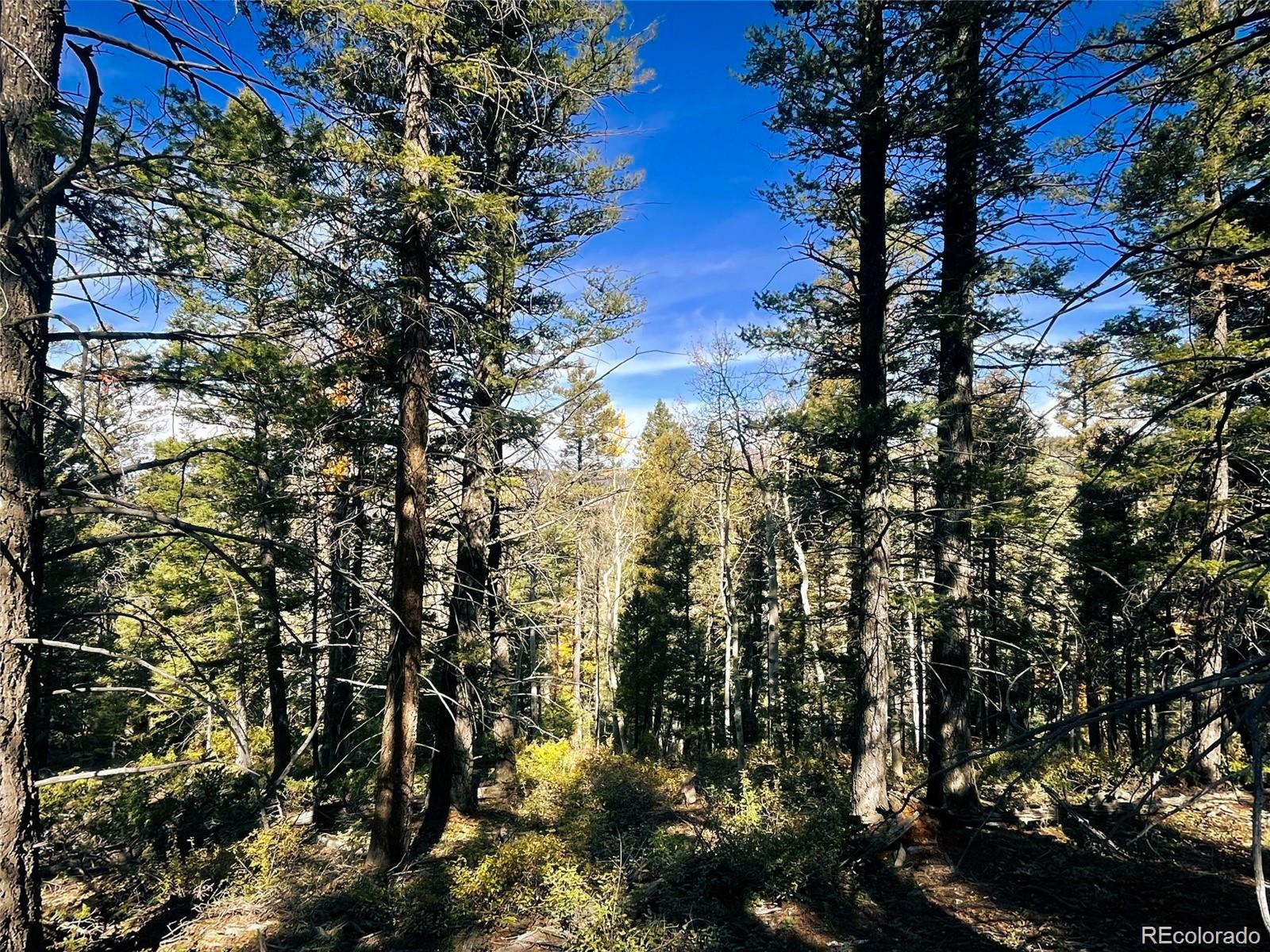 Lot 6187 Starkbeather Road San Luis, CO 81152 - Photo 10 of 18 a view of sunset