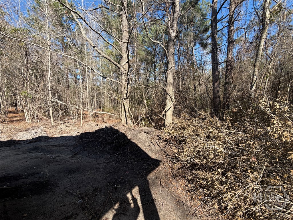 800 O F Lanier Road Pembroke, GA 31321 - Photo 20 of 21