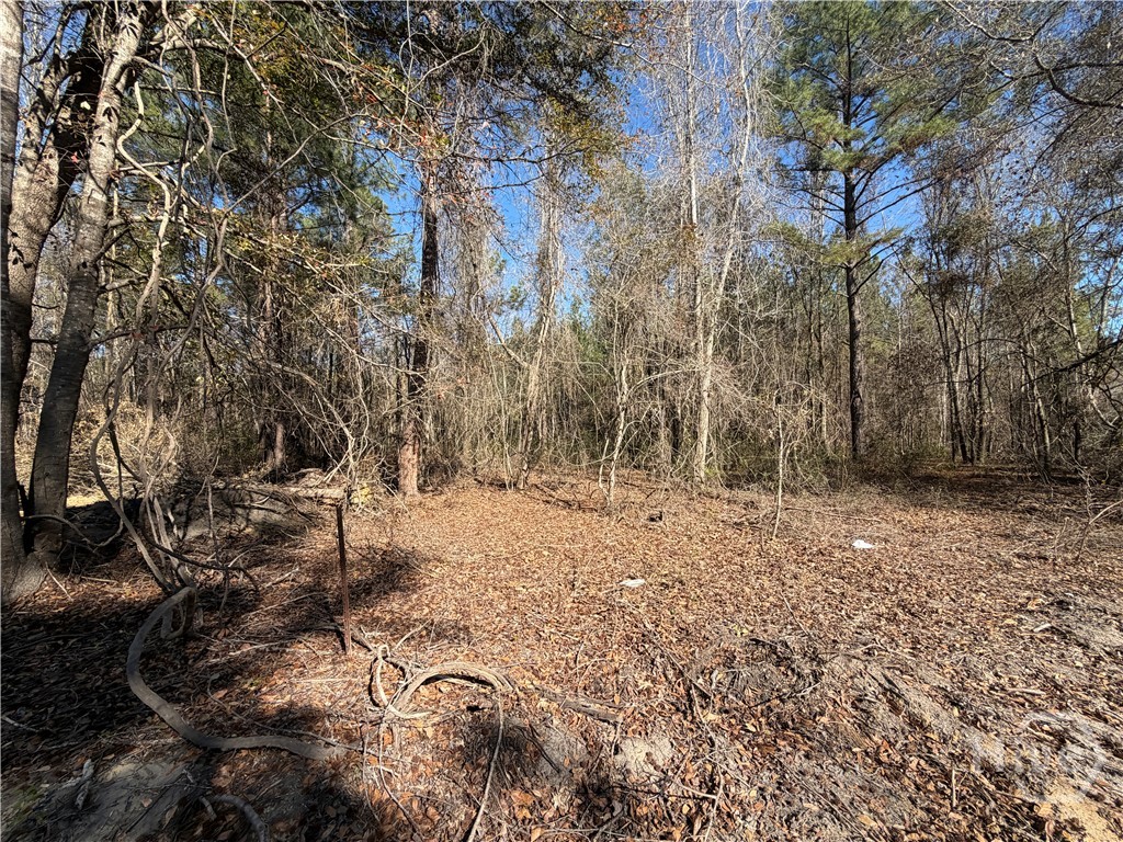 800 O F Lanier Road Pembroke, GA 31321 - Photo 21 of 21