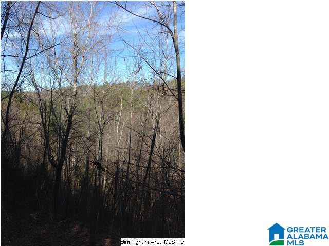 0 Henderson Lake Road, Unit 128 Munford, AL 36268 - Photo 15 of 31