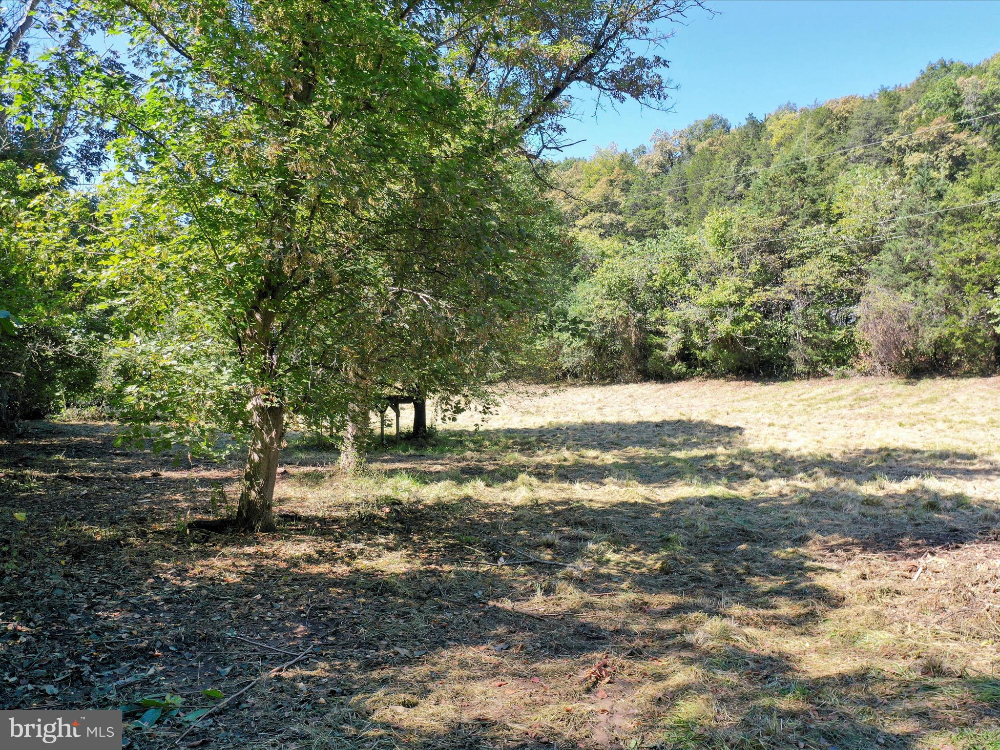 Tbd Funk Road Strasburg, VA 22657 - Photo 4 of 11 Gallery Image 4