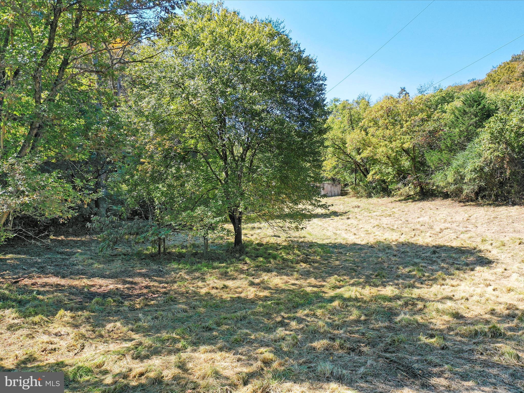 Tbd Funk Road Strasburg, VA 22657 - Photo 5 of 11 Gallery Image 5