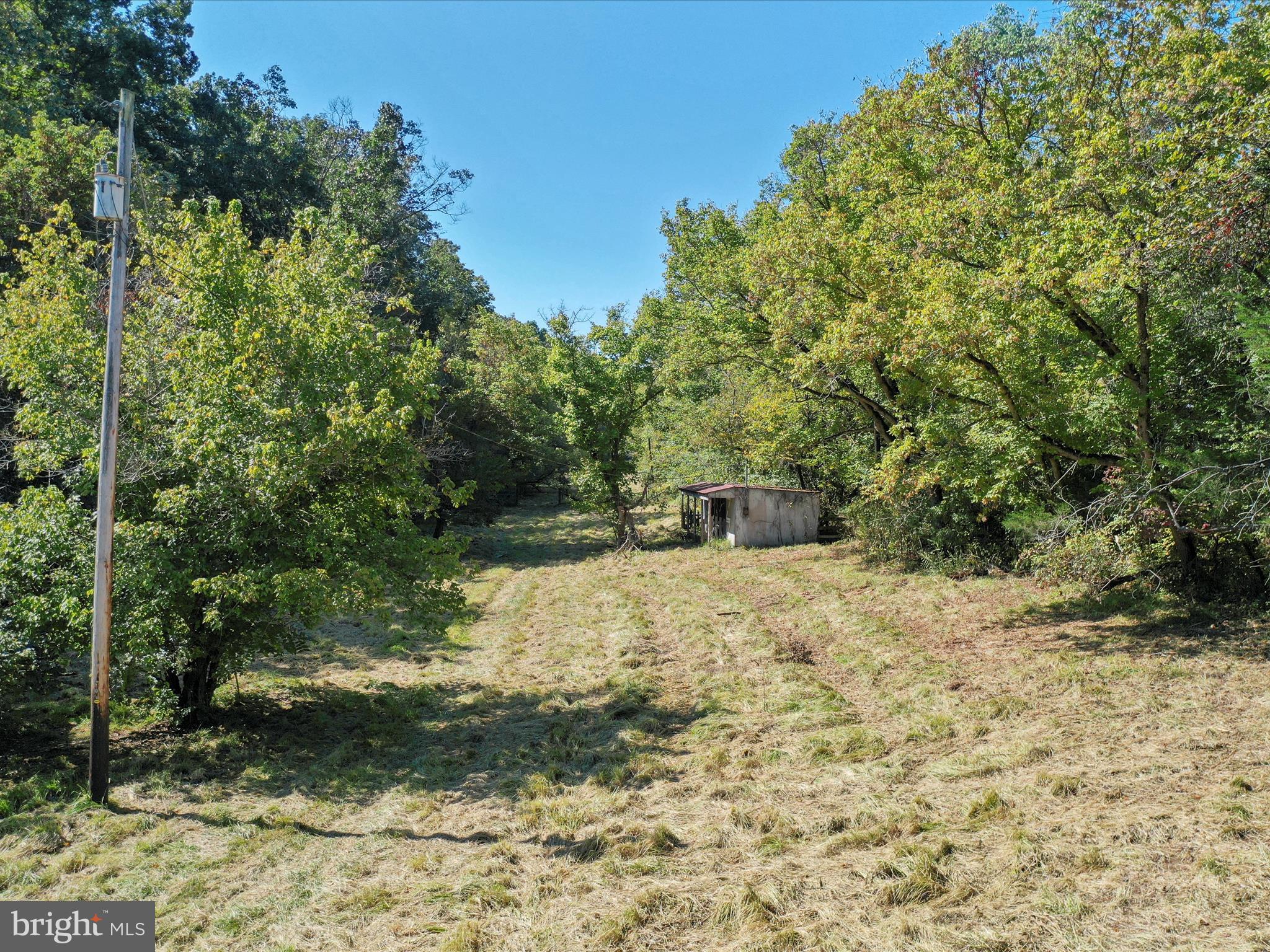 Tbd Funk Road Strasburg, VA 22657 - Photo 7 of 11 Gallery Image 7