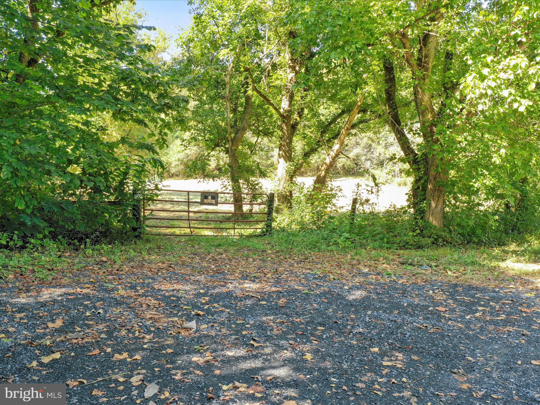 Tbd Funk Road Strasburg, VA 22657 - Photo 10 of 11 Gallery Image 10