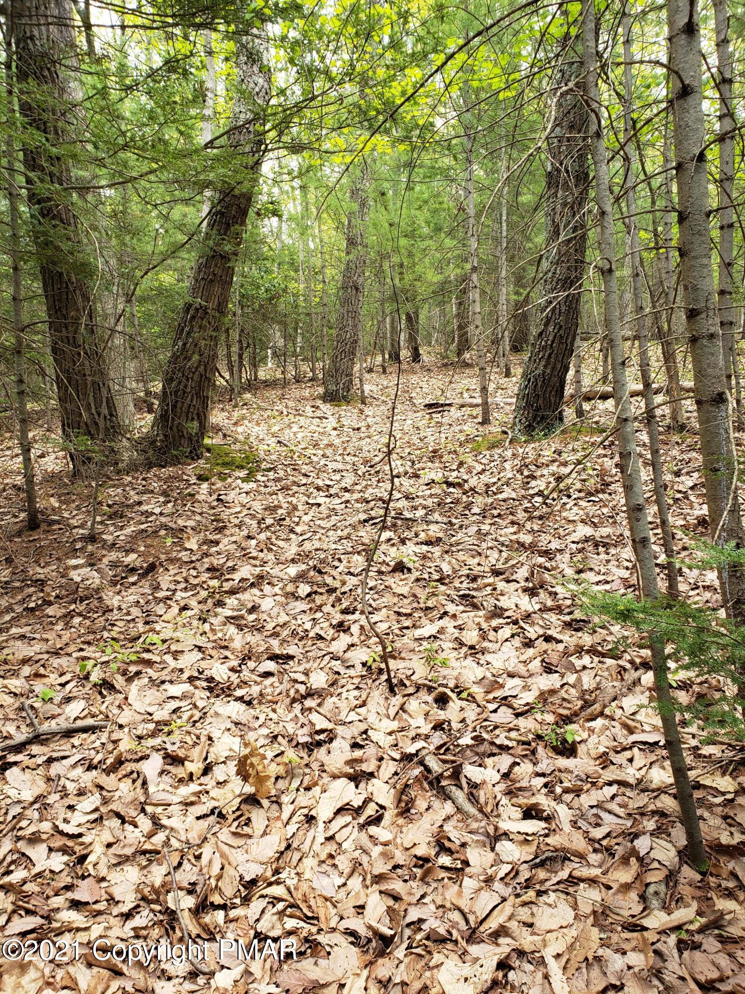 1699 Sugar Hollow Road Effort, PA 18330 - Photo 33 of 47 20210512_140208
