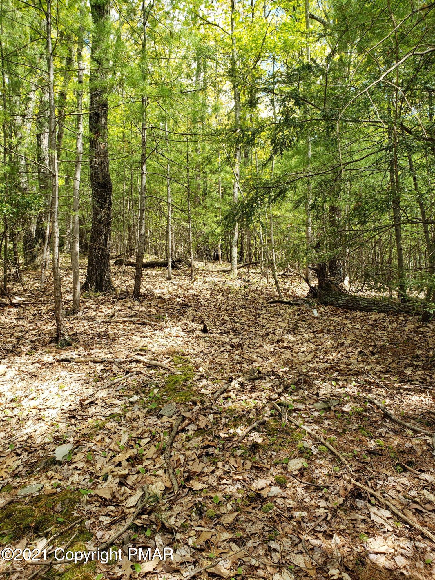 1699 Sugar Hollow Road Effort, PA 18330 - Photo 34 of 47 20210512_140252