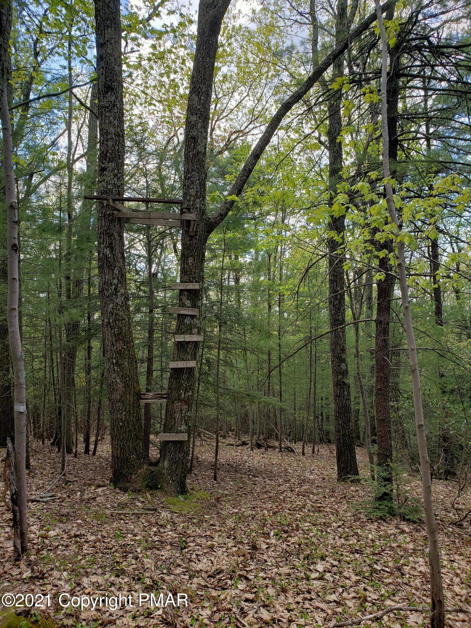 1699 Sugar Hollow Road Effort, PA 18330 - Photo 36 of 47 20210512_140658