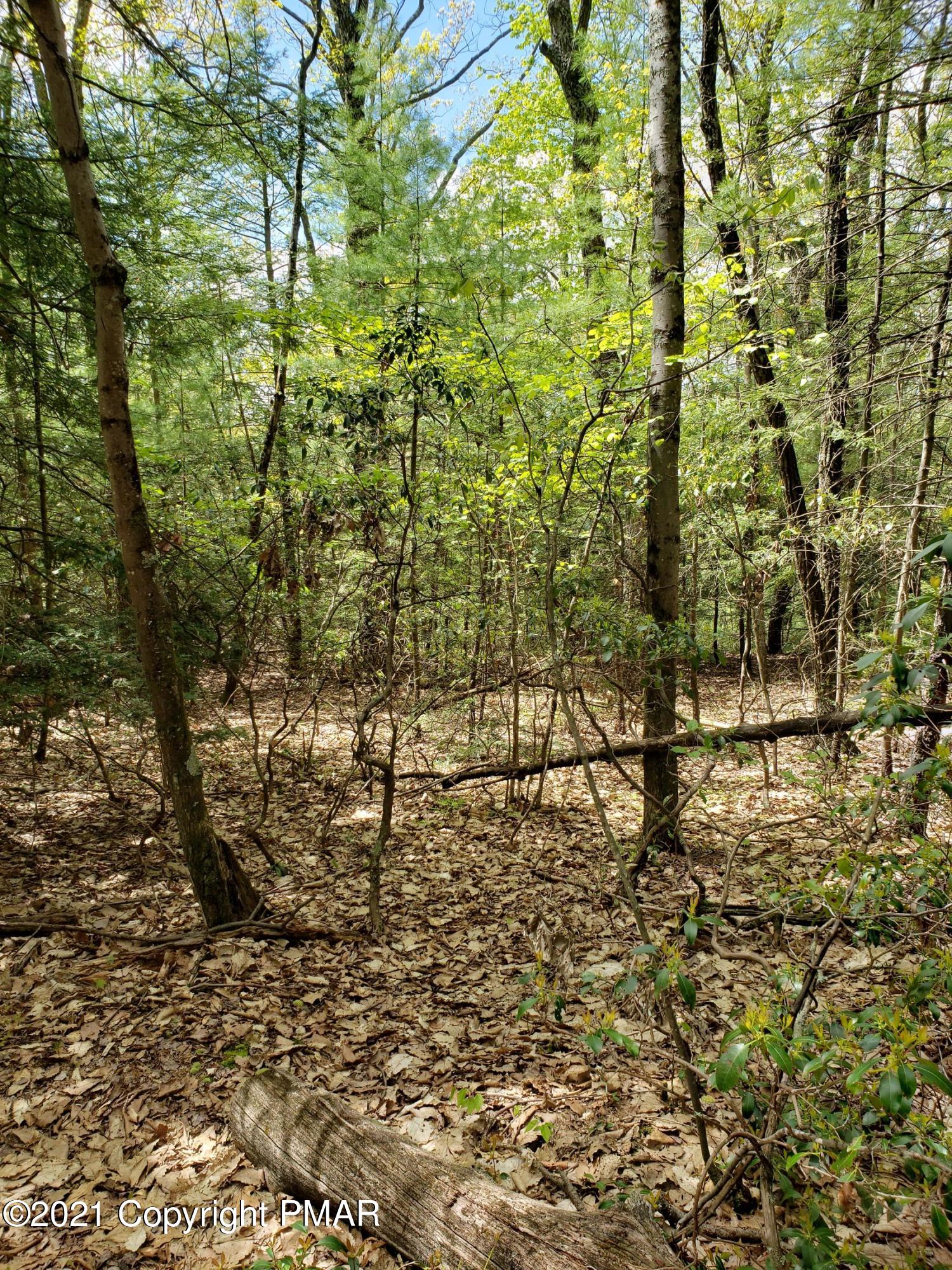 1699 Sugar Hollow Road Effort, PA 18330 - Photo 37 of 47 20210512_140607