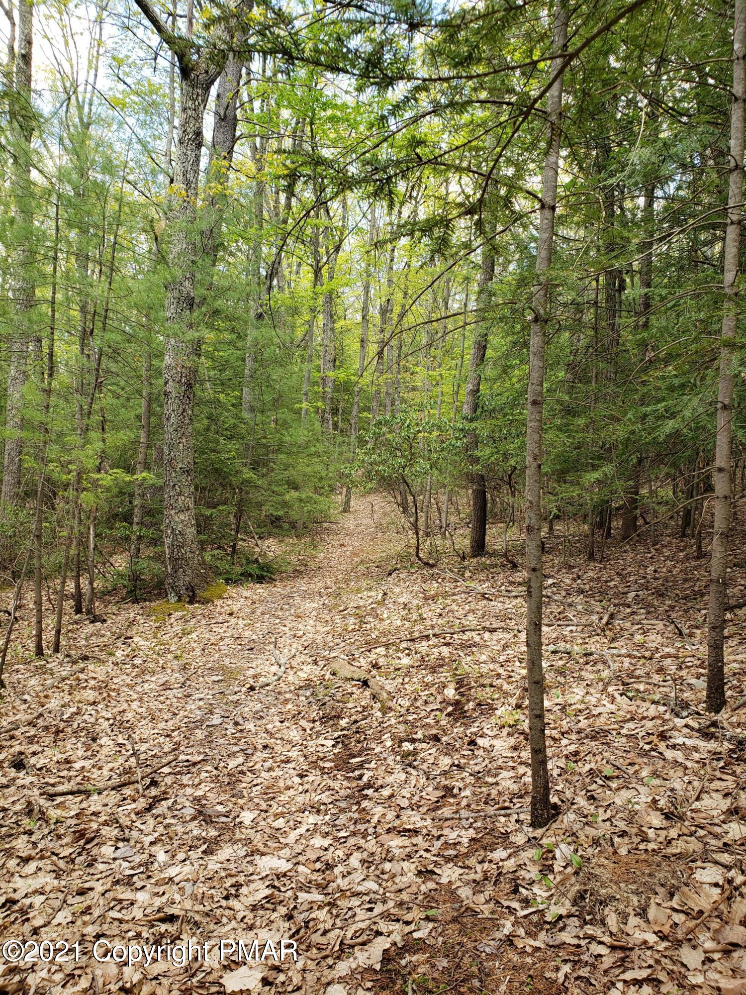 1699 Sugar Hollow Road Effort, PA 18330 - Photo 38 of 47 20210512_140414