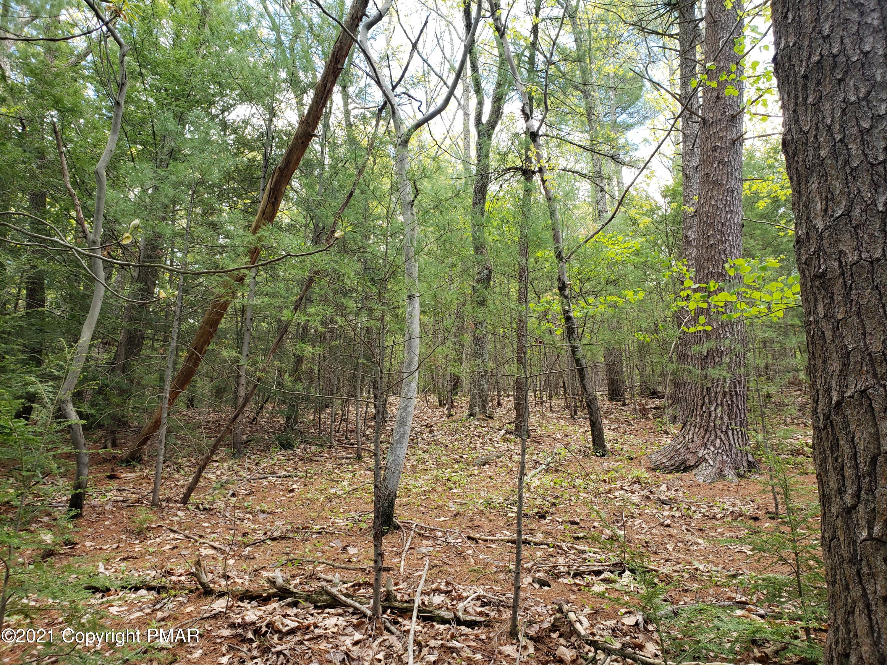 1699 Sugar Hollow Road Effort, PA 18330 - Photo 40 of 47 20210512_140117