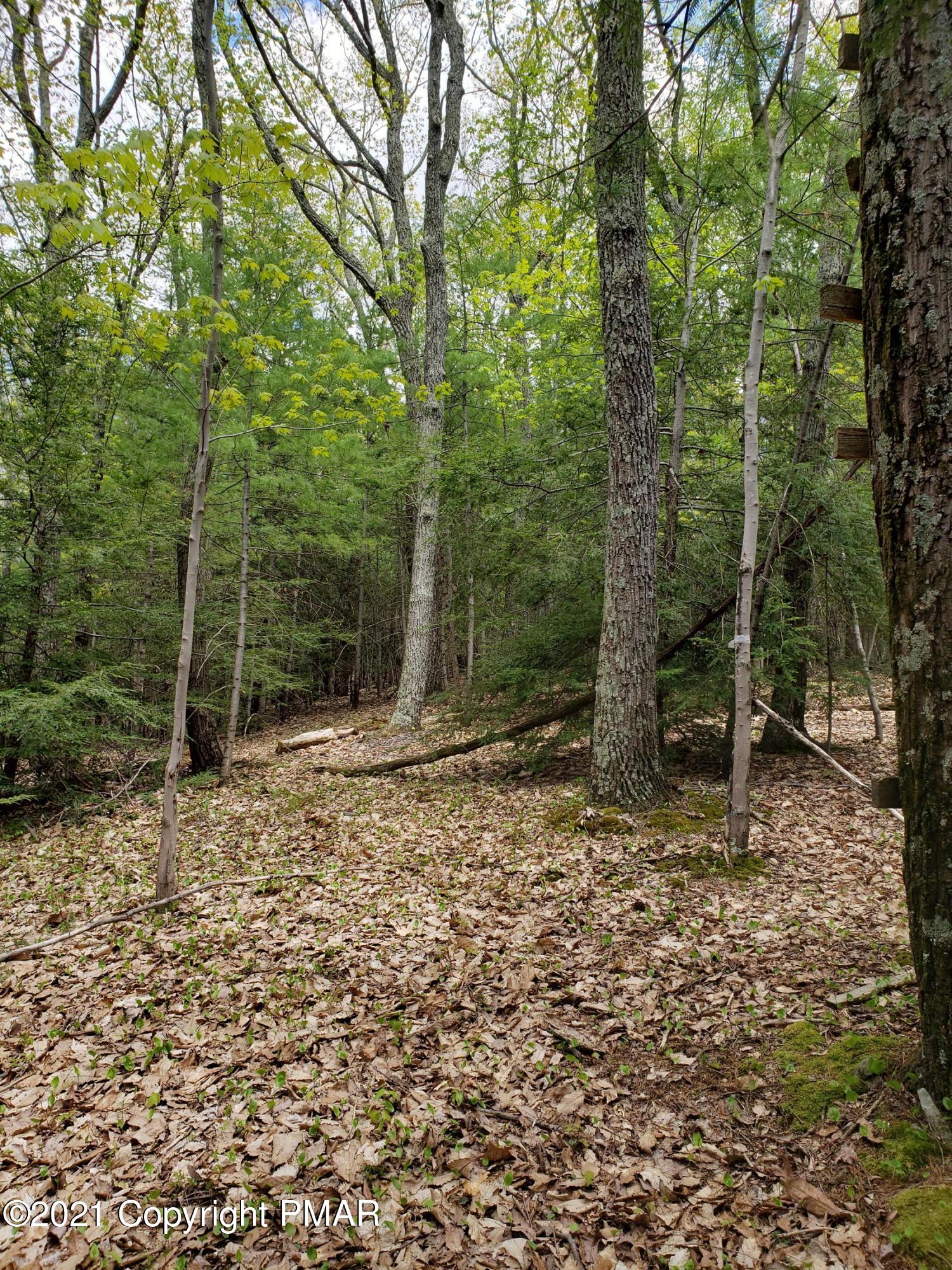 1699 Sugar Hollow Road Effort, PA 18330 - Photo 41 of 47 20210512_140339