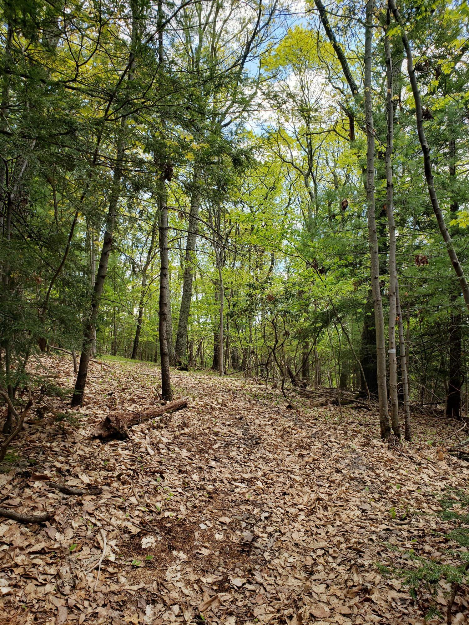 1699 Sugar Hollow Road Effort, PA 18330 - Photo 42 of 47 20210512_140403