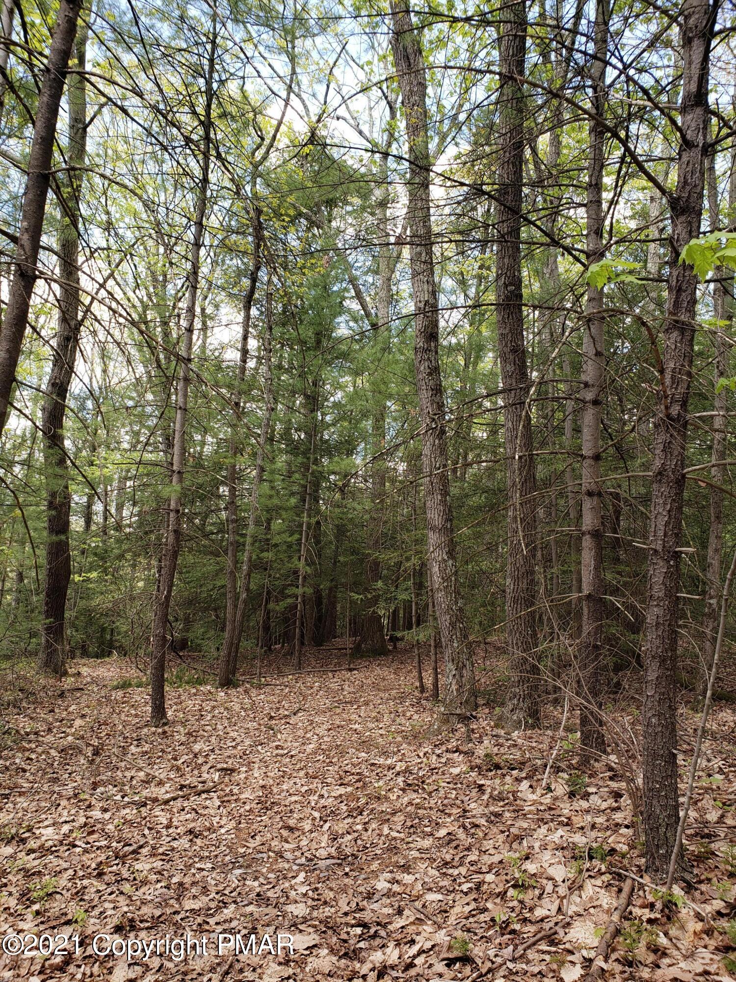 1699 Sugar Hollow Road Effort, PA 18330 - Photo 43 of 47 20210512_140532