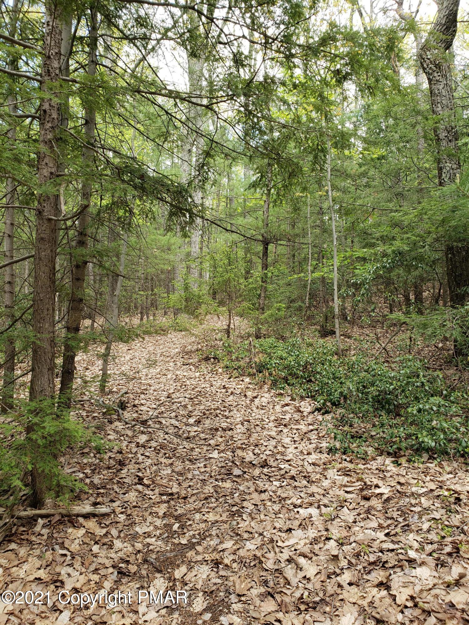 1699 Sugar Hollow Road Effort, PA 18330 - Photo 44 of 47 20210512_140508