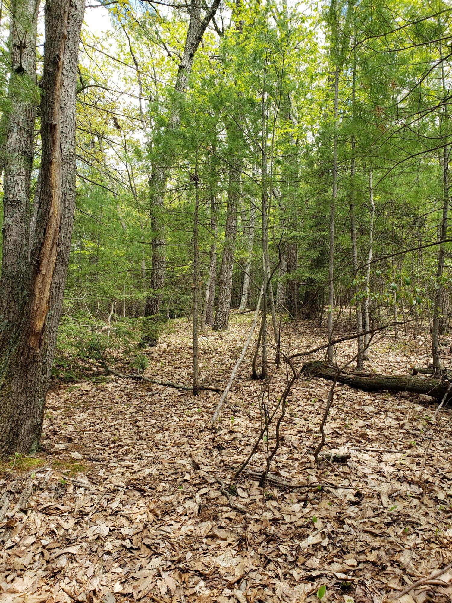 1699 Sugar Hollow Road Effort, PA 18330 - Photo 45 of 47 20210512_140311