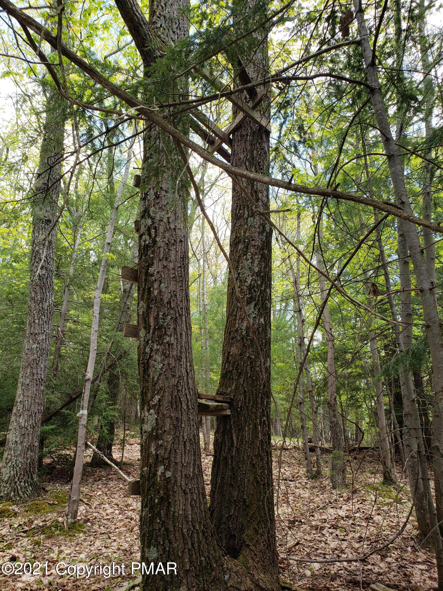 1699 Sugar Hollow Road Effort, PA 18330 - Photo 46 of 47 20210512_140342