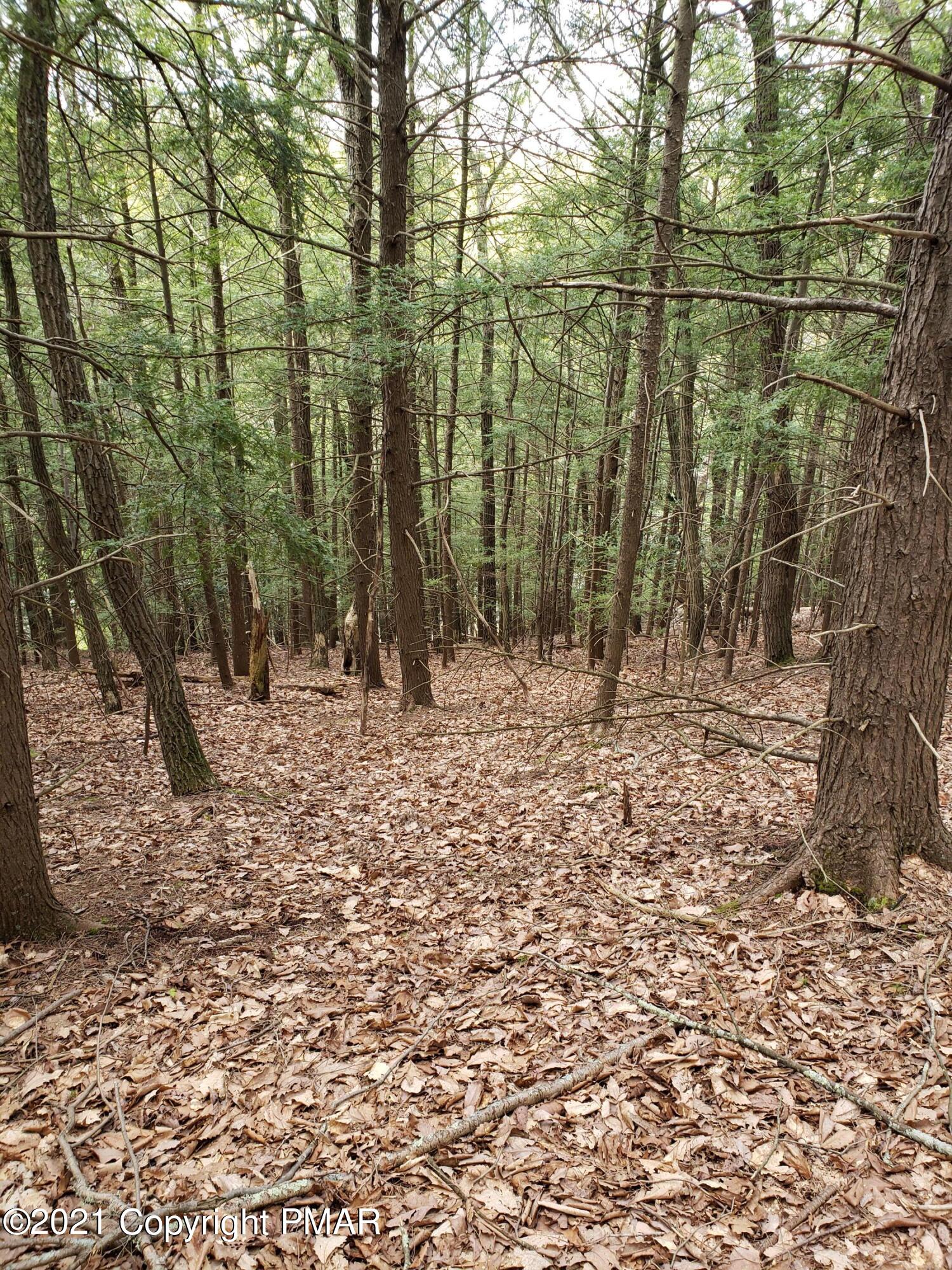 1699 Sugar Hollow Road Effort, PA 18330 - Photo 47 of 47 20210512_140935