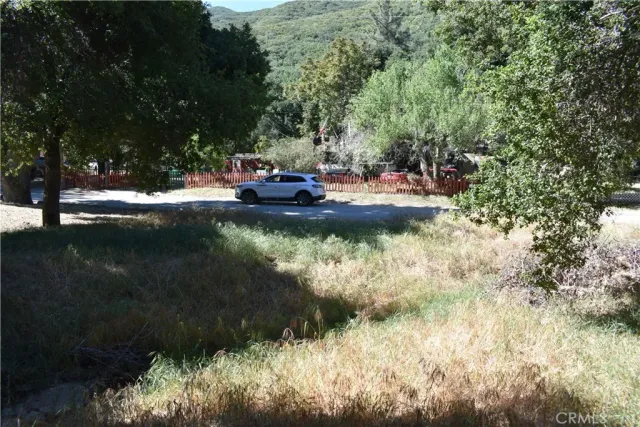 a view of yard covered with green space