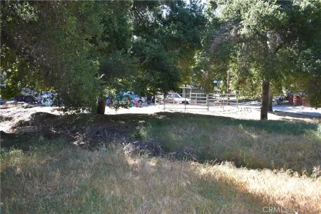 a view of yard with green space