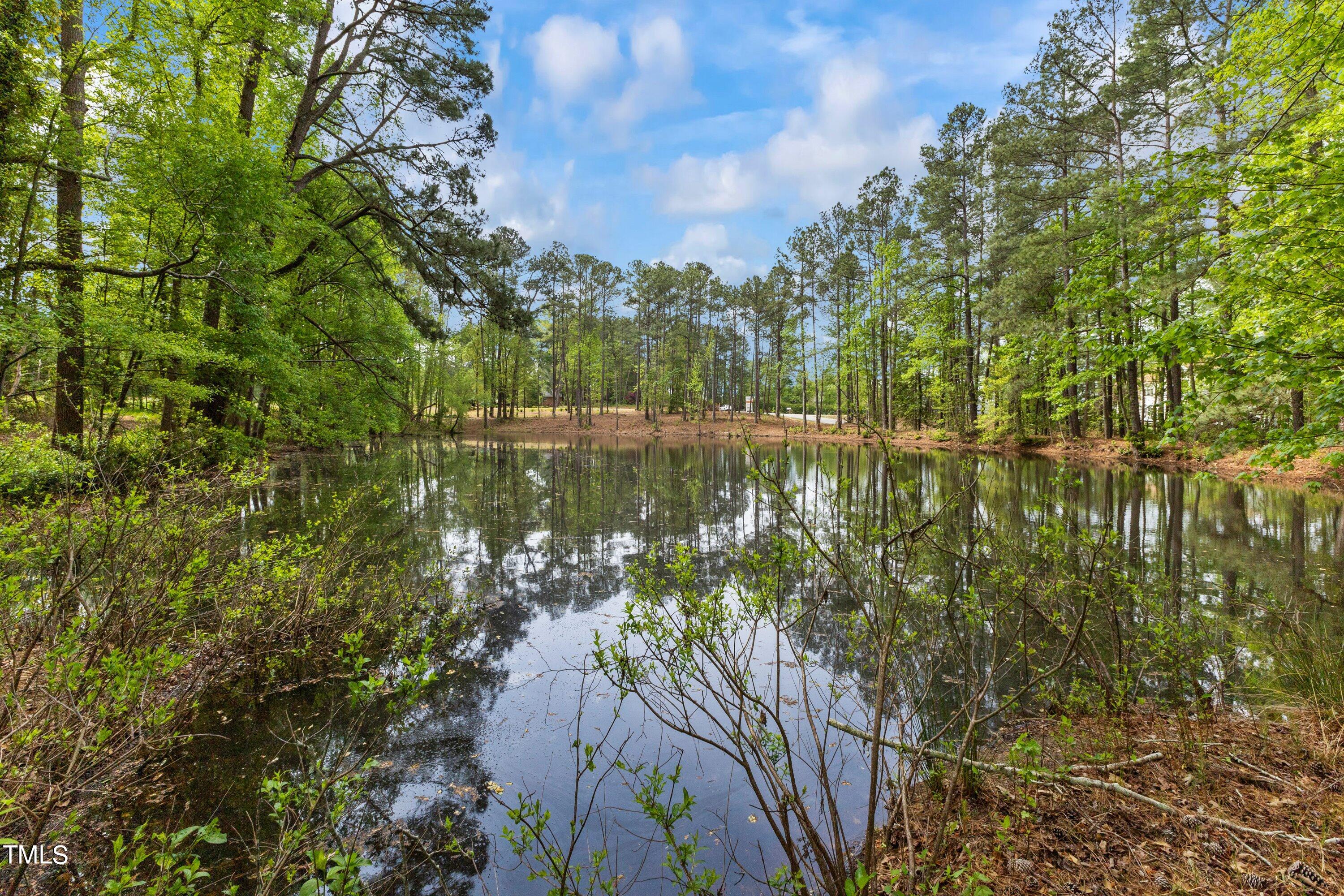514 Old Stage Road Willow Spring, NC 27592 - Photo 58 of 63 59-20240417514 Old Stage Rd_0050