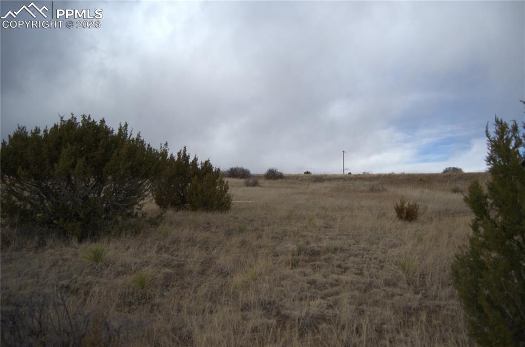 Rosemoore Drive Rye, CO 81069 - Photo 3 of 10 a view of a field