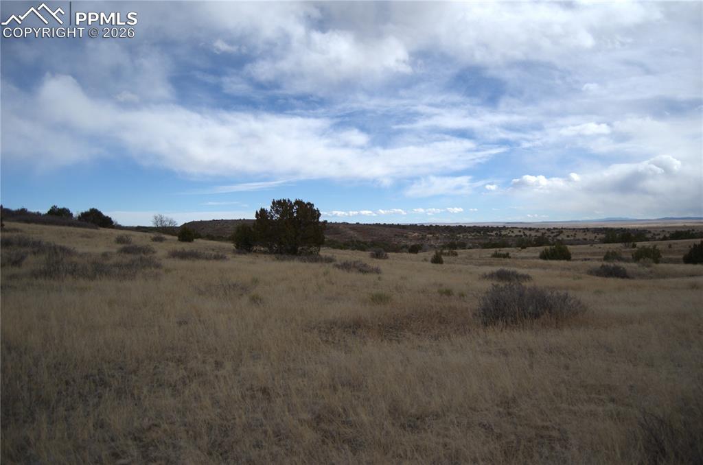 Rosemoore Drive Rye, CO 81069 - Photo 4 of 10 a view of a field with trees