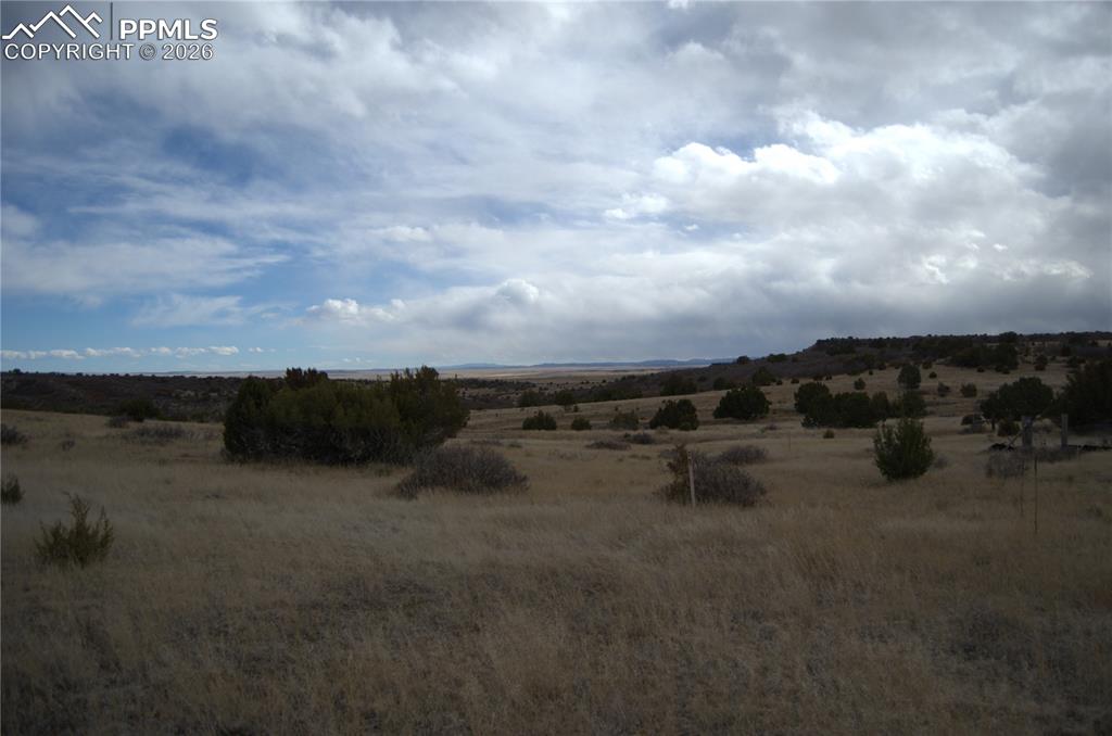 Rosemoore Drive Rye, CO 81069 - Photo 7 of 10 a view of a dry yard with trees