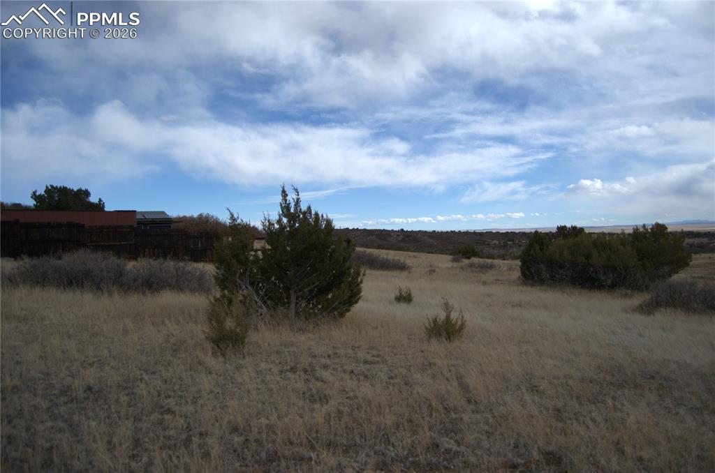 Rosemoore Drive Rye, CO 81069 - Photo 8 of 10 a view of a dry yard with trees