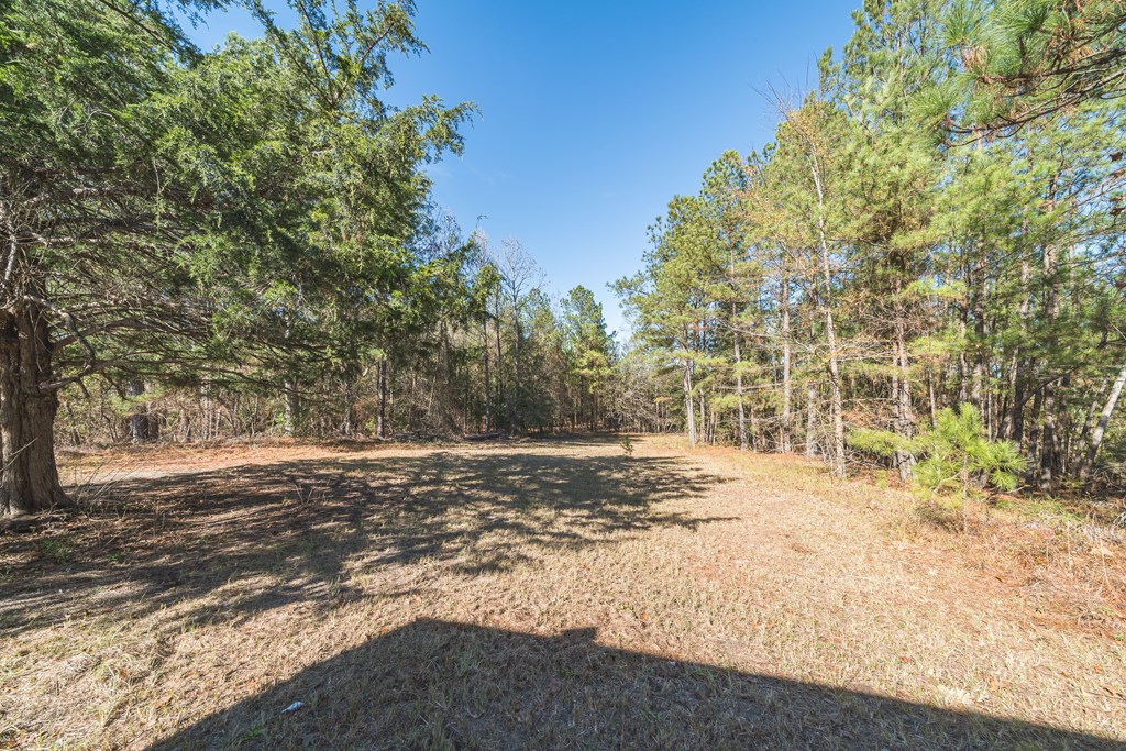 1270 Dr Brooks Road Box Springs, GA 31801 - Photo 31 of 36 Gallery Image 31