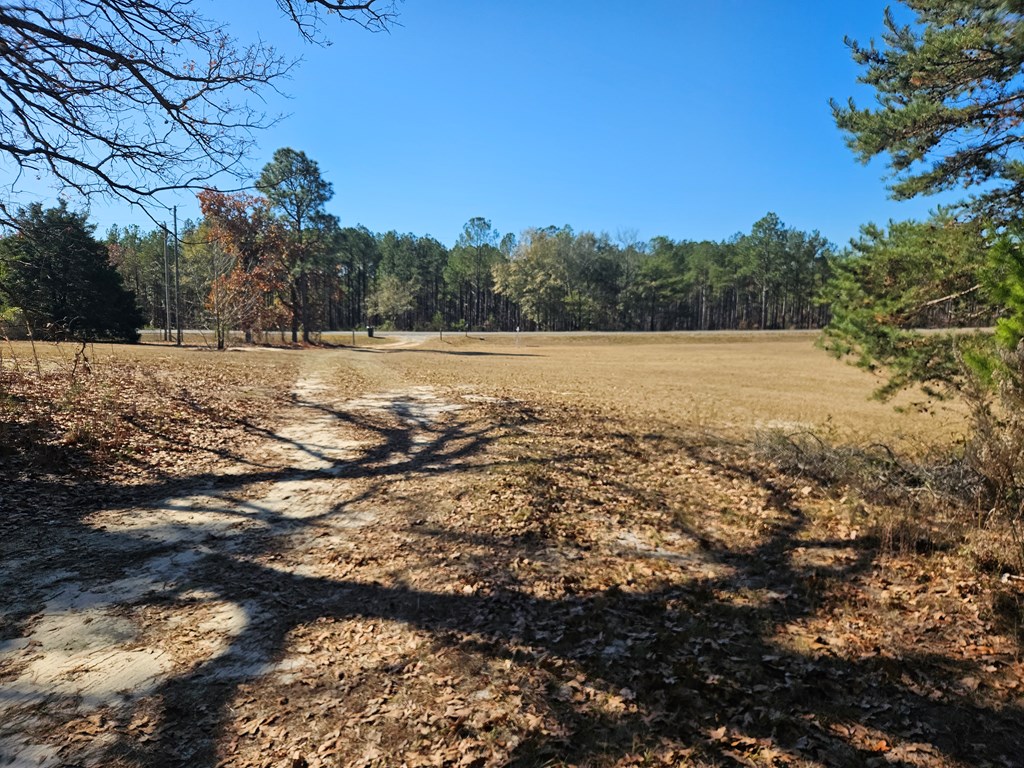 1270 Dr Brooks Road Box Springs, GA 31801 - Photo 34 of 36 Gallery Image 34