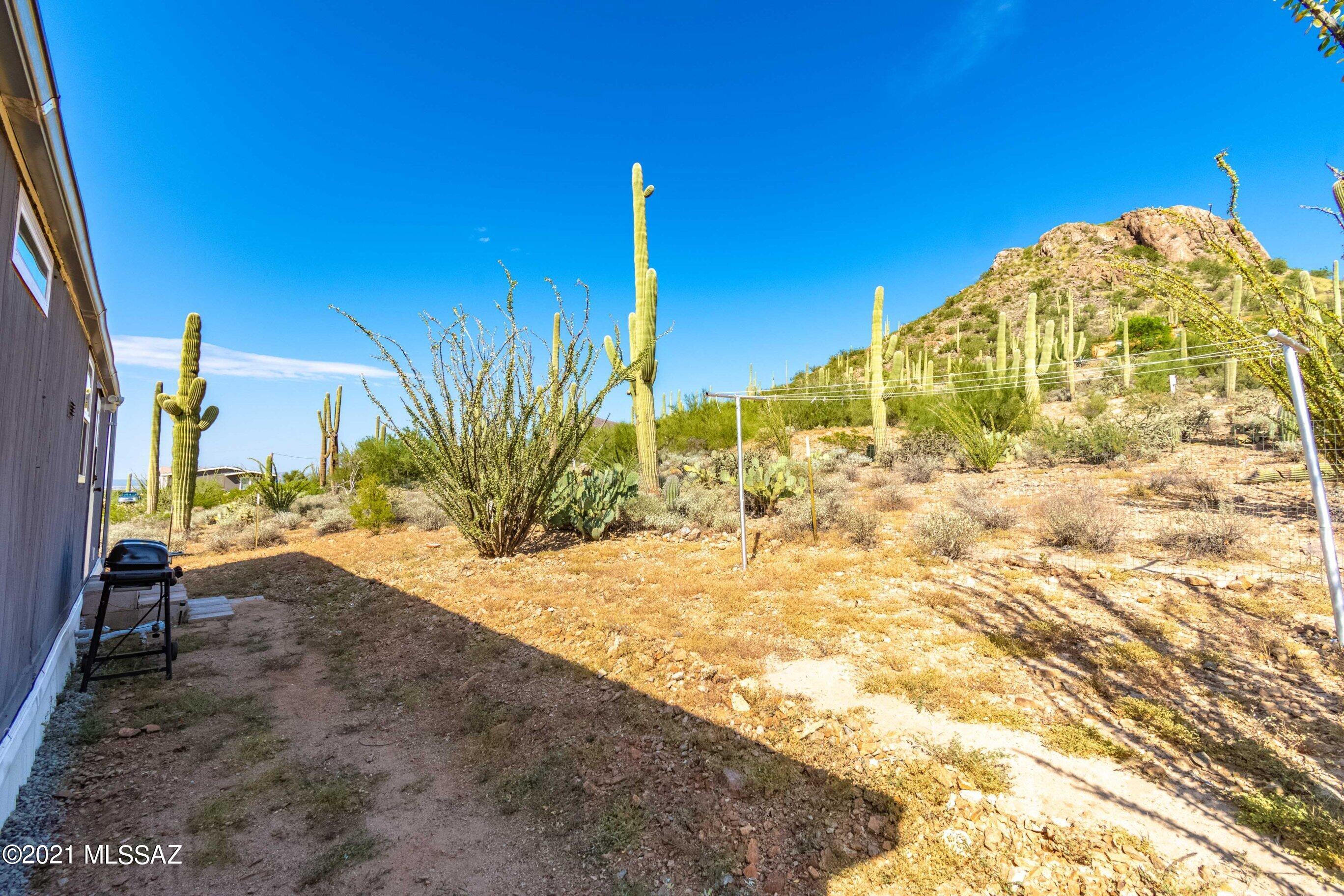 6644 North Van Ark Road Tucson, AZ 85743 - Photo 4 of 28