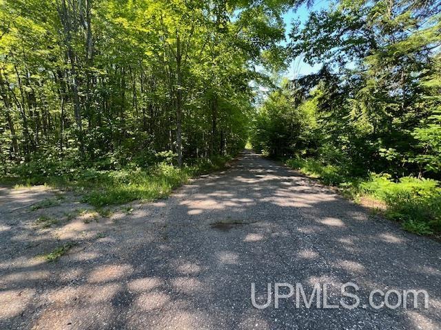 11.6 Acres Off Remington Road Marquette, MI 49855 - Photo 13 of 39